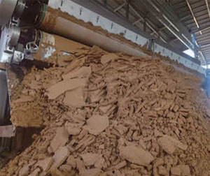 DS���������ˮ��